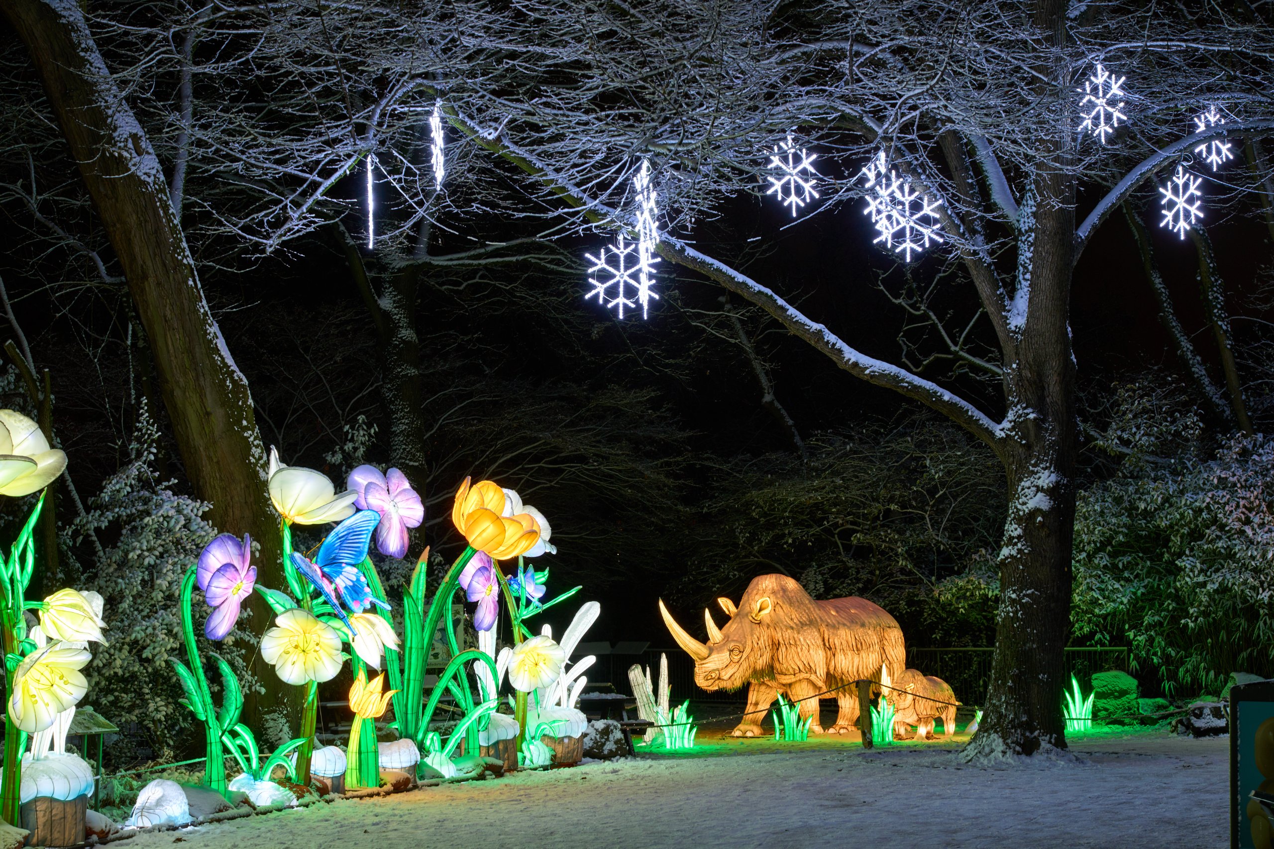 2026 01 05 China Lights 0174